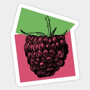 Raspberry Sticker